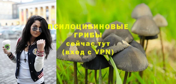 сатива Гусь-Хрустальный