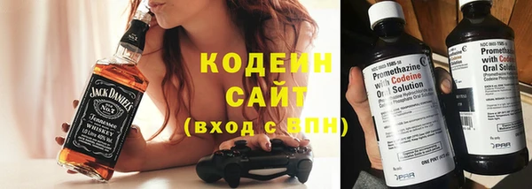сатива Гусь-Хрустальный