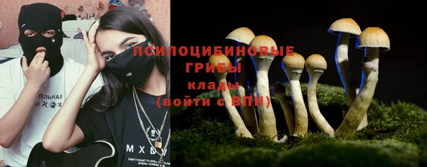 сатива Гусь-Хрустальный