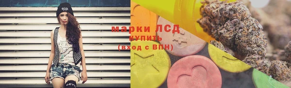 дурь Гусиноозёрск