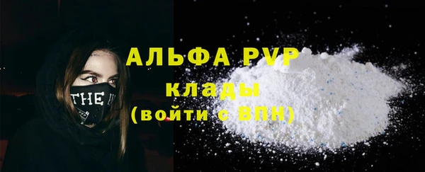 сатива Гусь-Хрустальный