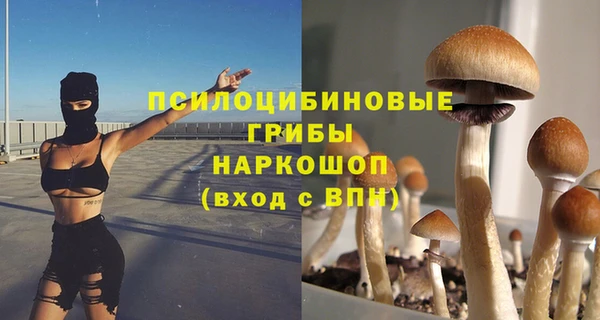 дурь Гусиноозёрск