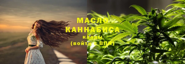 сатива Гусь-Хрустальный