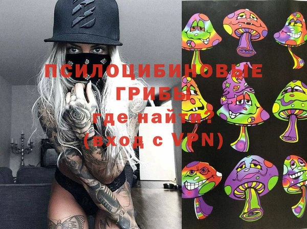 сатива Гусь-Хрустальный