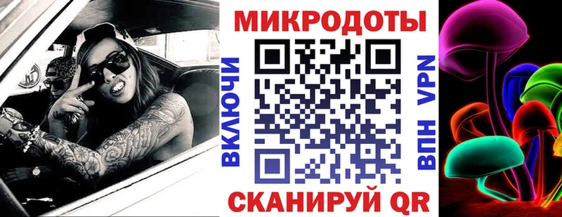 Псилоцибиновые грибы Psilocybine cubensis Саранск